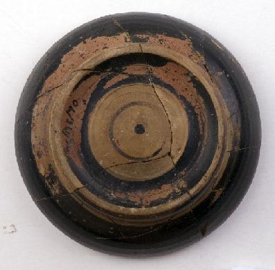 Marian Venceslá Delgado (CERES)